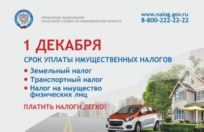 Пора платить налоги!