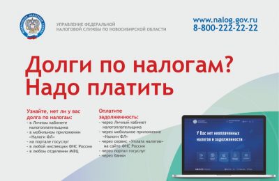 Как проверить долги по налогам: рекомендации УФНС России по Новосибирской области