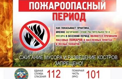 В соответствии с постановлением губернатора Новосибирской области Андрея Травникова, с 17 апреля в регионе объявлено начало пожароопасного сезона.