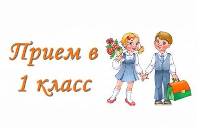 10 тысяч заявлений подали новосибирцы за первые сутки записи детей в 1 класс