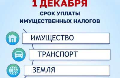 Срок уплаты имущественных налогов — 1 декабря