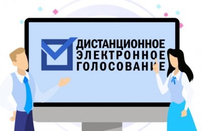 Систему дистанционного голосования протестируют в Новосибирской области