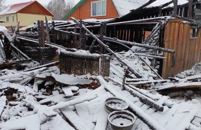 На территории района в период с 29.12.2023 года по 09.01.2024 года: