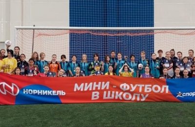 Региональный этап общероссийского проекта «Мини-футбол – в школу».