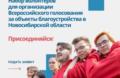 Стартовал набор волонтеров для организации Всероссийского голосования