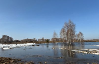 Весеннее потепление