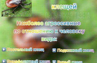 Роспотребнадзор информирует
