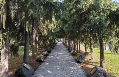 Сегодня 1 августа. Мы медленно идем в осень…