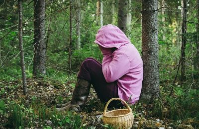 Собрался в лес? Помни, как из него выбраться