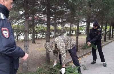 «Зеленая Россия»