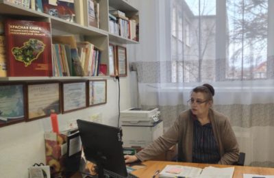 Международный день школьных библиотек