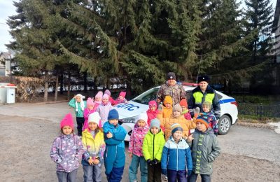 «Светлячки» в полиции