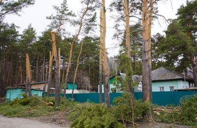 Здесь будет детский парк