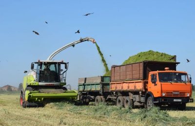 В самом разгаре заготовка кормов в Ордынском районе