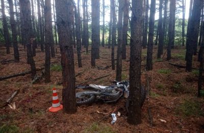 18-летний водитель питбайка погиб в ДТП на лесной дороге