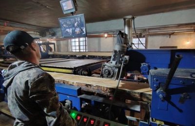 Арендаторы лесных участков встретились для обмена опытом на выездном совещании в Ордынском районе