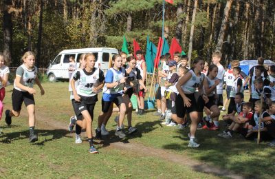 Кросс «Золотая осень» прошёл в Ордынском районе