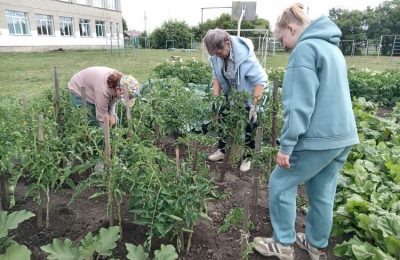 Берёзовские школьники отлично потрудились летом!