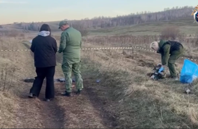 В Красноярском крае стая собак насмерть загрызла 10-летнего мальчика