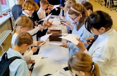 «День белых журавлей»