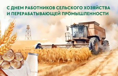 Ордынские аграрии принимают поздравления с Днём работника сельского хозяйства и перерабатывающей промышленности