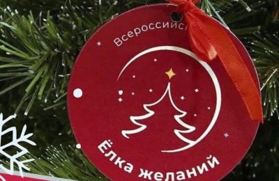 «Внуки с подарками» и «Хвостатый Новый год»: у всероссийской акции «Ёлка желаний» появились новые форматы