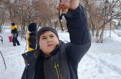 Угощения для синичек