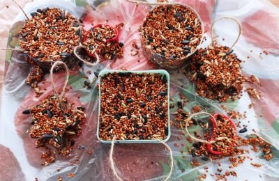 Синичкин день отметили 11 ноября в Усть-Луковском Доме культуры