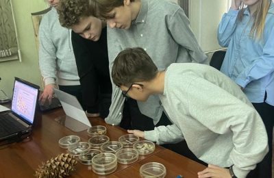 «Сегодняшние ученики- завтрашние хранители наших лесов»