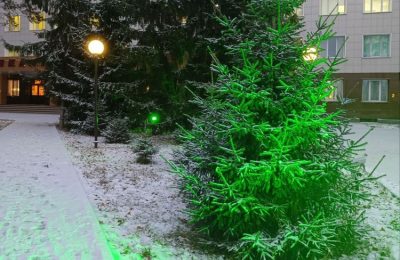 Погода на выходные