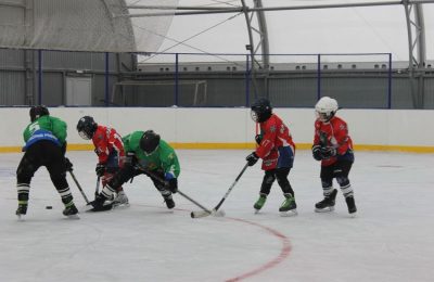 «Золотая шайба»