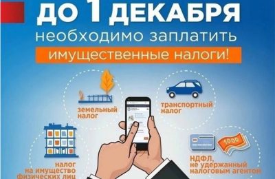 Чтобы не переплачивать налоги, их нужно платить вовремя