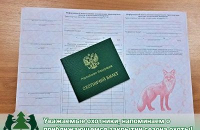 Завершение сезона охоты