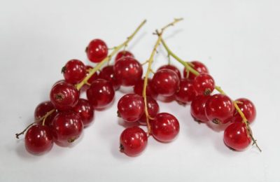 Полезны ли свежие ягоды зимой?