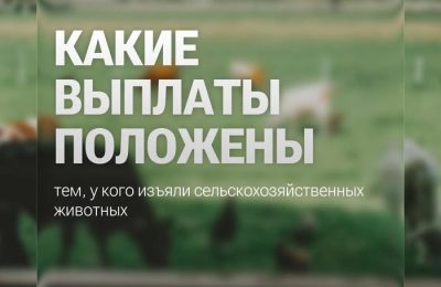 Пятнадцатый день на территории Новосибирской области не выявляется новых случаев заболевания животных пастереллезом