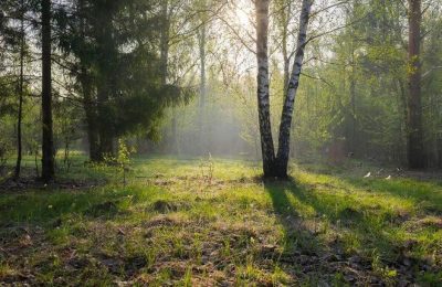 К пожароопасному периоду готовы