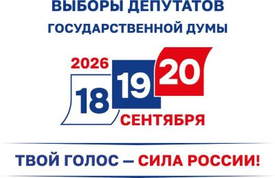Выборы-2026: график работы избирательных комиссий
