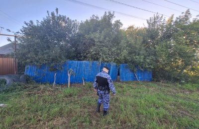В Новосибирской области приставы нашли алиментщика, прятавшегося в сарае