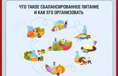 Что такое сбалансированное питание и как его организовать?