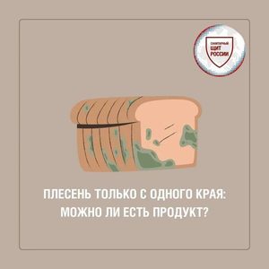 Увидели небольшое пятно плесени на хлебе, варенье или сыре, но решили просто убрать его и использовать продукт дальше?