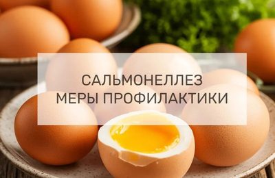 Сальмонеллез — инфекционное заболевание, вызванное бактериями рода Salmonella